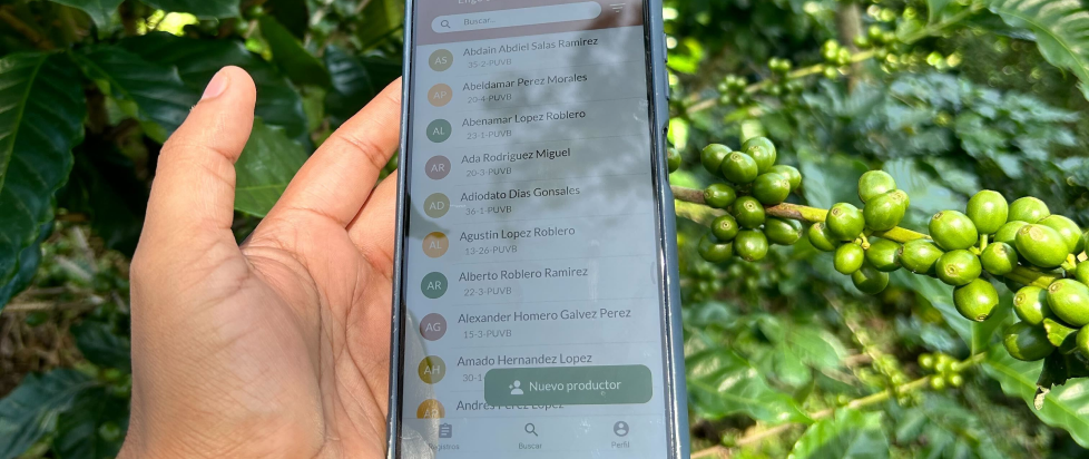 Persona sosteniendo un teléfono junto a una planta de café